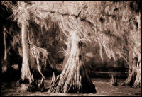 "America's Wetland"